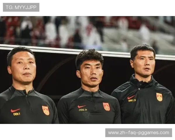 郑智效力过的德甲球队故事回顾